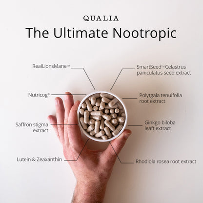 Qualia Mind 2.0